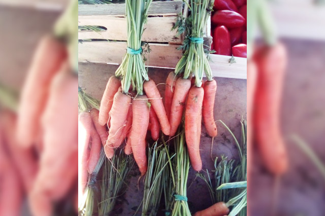 carottes non lavées second choix 1kg