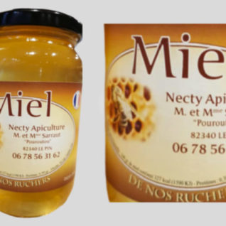 Miel Necty Apiculture / 500g